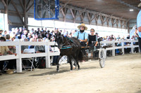 AJB_1192