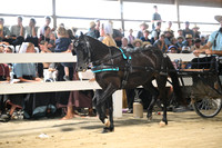 AJB_1196