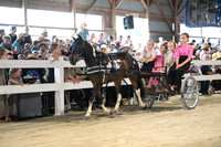 Lot 3
