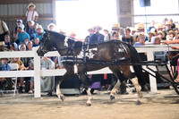 AJB_0853