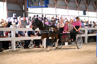 AJB_0851