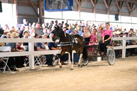 AJB_0855