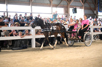 AJB_0856