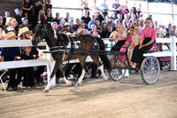 AJB_0857