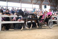 AJB_0859