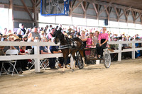 AJB_0858