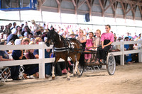 AJB_0862