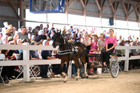 AJB_0865