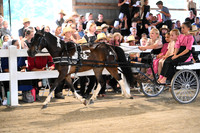 AJB_0864