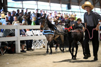 AJB_1218
