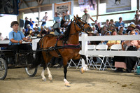 Lot 32