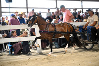 AJB_1229