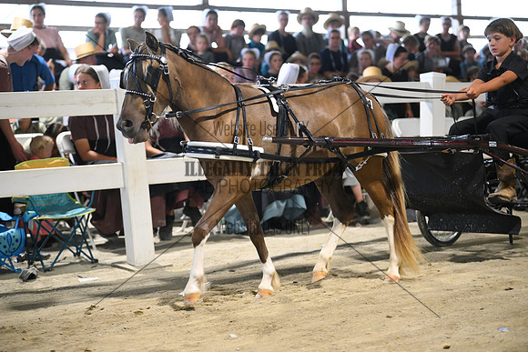 AJB_1258