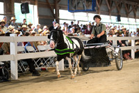 Lot 35