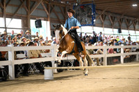 AJB_1278