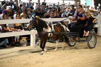 AJB_1290