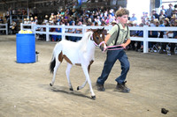AJB_0886