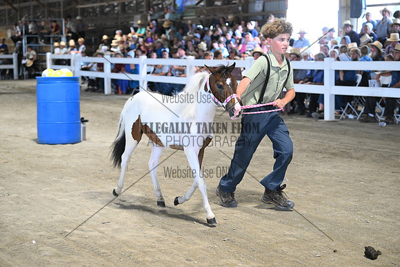 AJB_0886