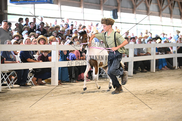AJB_0875