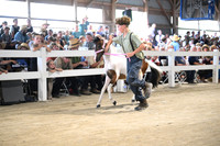 AJB_0876
