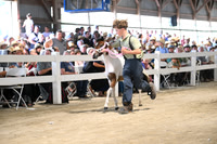 AJB_0878
