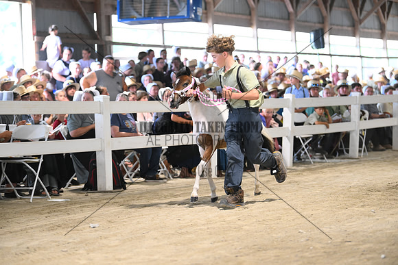 AJB_0878