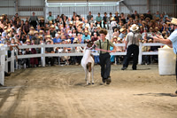 AJB_0882