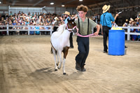 AJB_0884