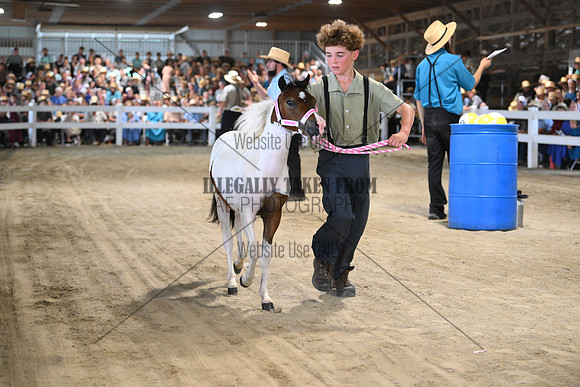 AJB_0884