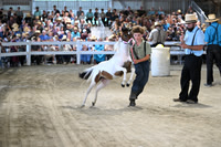 AJB_0885