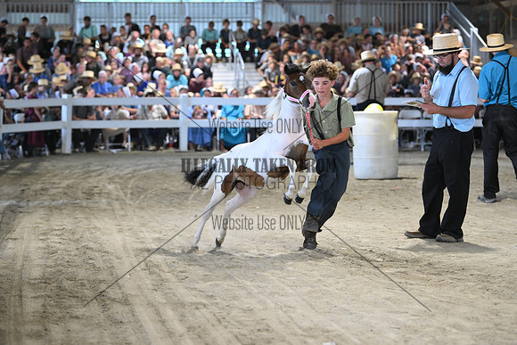 AJB_0885