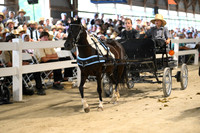 Lot 41
