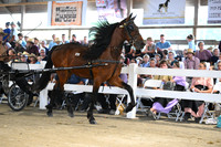 Lot 42
