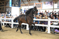 AJB_1354