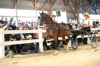 AJB_1360