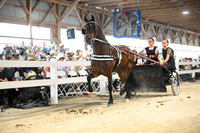 Lot 46