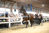 AJB_1378