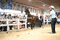 AJB_1379