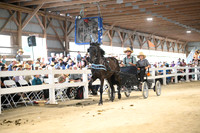 AJB_1388