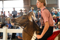 Lot 48