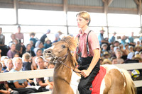 AJB_1393