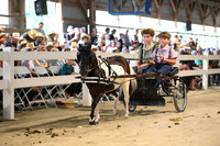 Lot 49