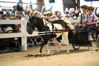 AJB_1407