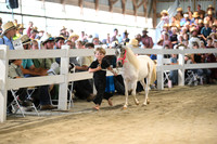 AJB_0889