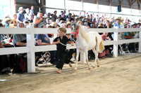 AJB_0891