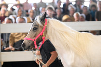 AJB_0893