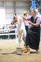 AJB_0895