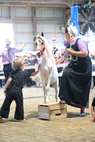 AJB_0897