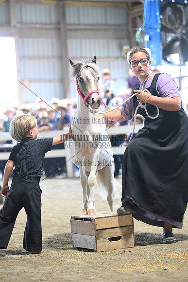 AJB_0898