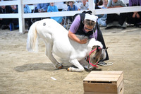 AJB_0899